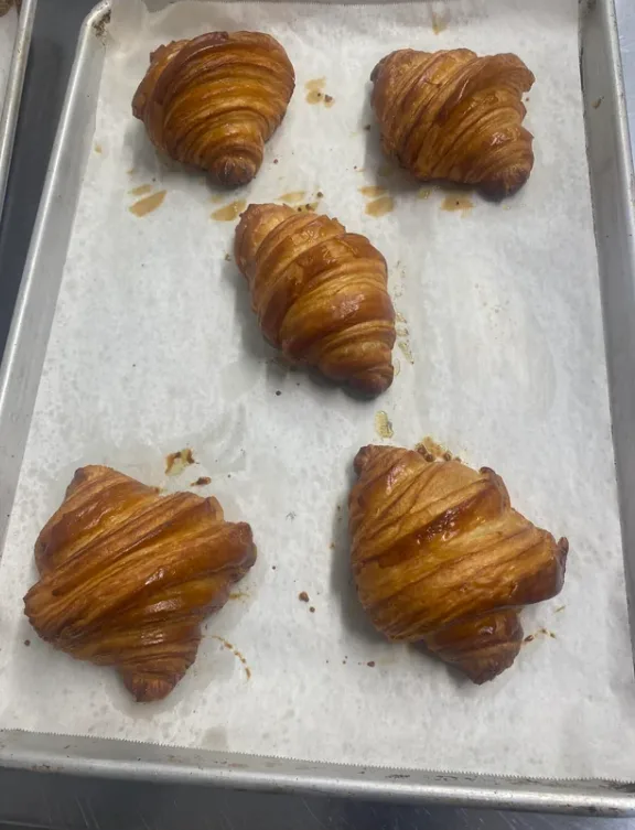 Synthetic croissant input image used for the workflow example